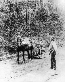 Photograph, Water carting to Hotel, Kinglake, c.1908
