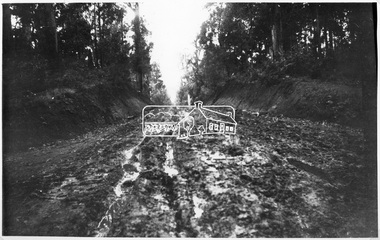 Photograph, Kinglake Road