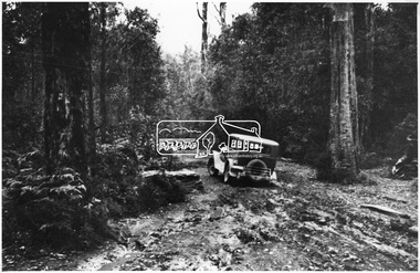 Photograph, Goodwood Powelltown Melbourne Daily rear view