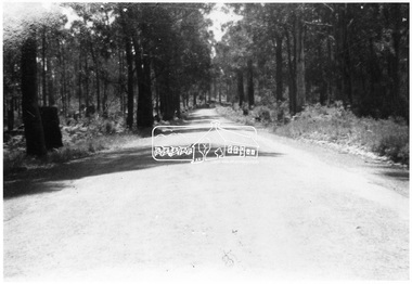 Photograph, Road from Hotel to Hall, Kinglake at later stage