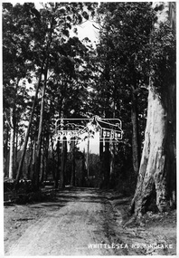 Photograph, Whittlesea Road, Kinglake