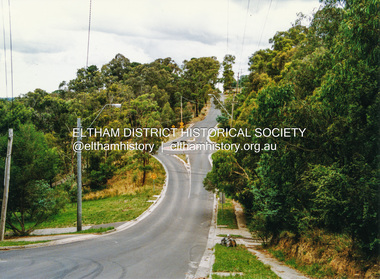 Photograph, Doug Orford, Ryans Road, Eltham, near Kerrie Crescent, 1991, 1991