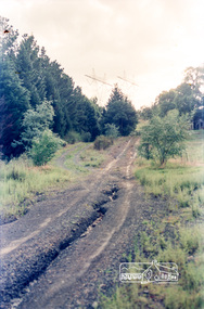 Photograph, Parsons Road, Eltham, c.1987