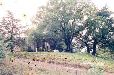 Photograph, Parsons Road, Eltham, c.1987
