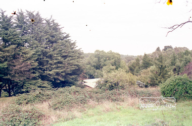 Photograph, Parsons Road, Eltham, c.1987