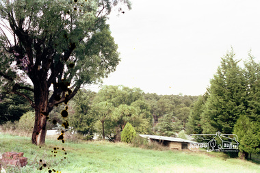 Photograph, Parsons Road, Eltham, c.1987