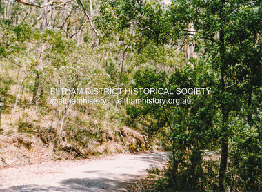 Photograph, Old Kinglake Road, Steels Creek, 1991, 1991