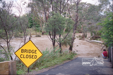Photograph, Peter Pidgeon, Flooded foot bridge across Diamond Creek, Wingrove Park Trail, 2004