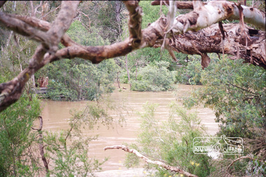 Photograph, Peter Pidgeon, Yarra River flooded, confluence with Diamond Creek viewed from lookout at Lenister Farm, Eltham, 2004