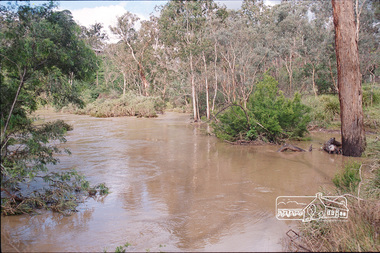 Photograph, Peter Pidgeon, Yarra River flooded, confluence with Diamond Creek viewed from lookout at Lenister Farm, Eltham, 2004