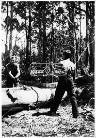 Photograph, Cutting log off, Whittlesea Road