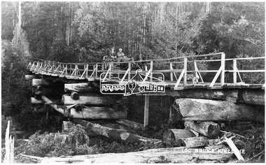 Negative - Photograph, Log bridge over Pheasant Creek, Kinglake, c.1920