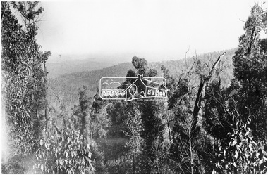 Photograph, View from the Mountain Trail, Kinglake