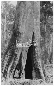 Photograph, Big Ben - Kinglake