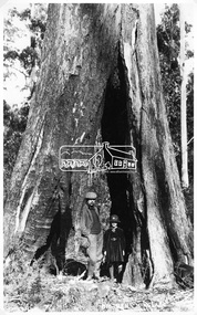 Photograph, Big Ben - Kinglake
