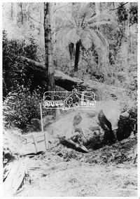 Photograph, Looking for gold, No. 1 Creek, Kinglake District