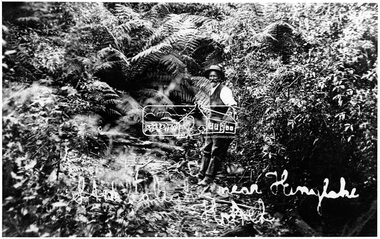 Photograph, Near Kinglake Hotel