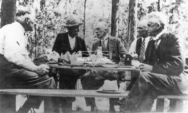 Negative - Photograph, Picnic at Kinglake National Park, c.1927-1936