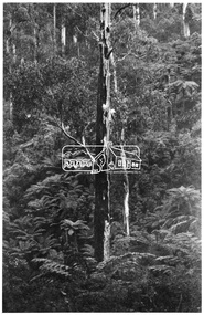 Photograph, Kinglake National Park, Valley of Jehosaphat