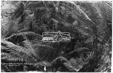 Photograph, Kinglake National Park; view from the Mountain Trail