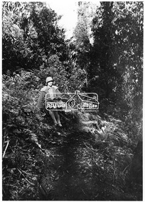 Photograph, Kinglake National Park; the Mountain Trail