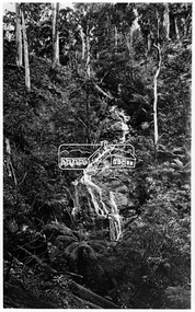 Photograph, Kinglake National Park, Wrights Falls