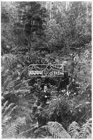 Photograph, Kinglake National Park