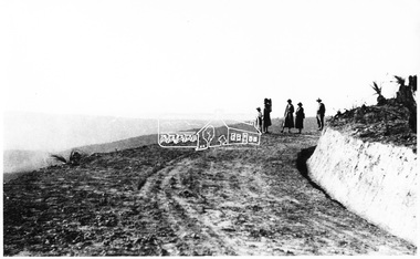Photograph, Kinglake National Park, Bald Hill, Kiosk Road