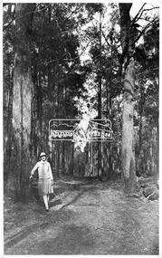 Photograph, Kinglake National Park, entrance to Valley of Jehosaphat