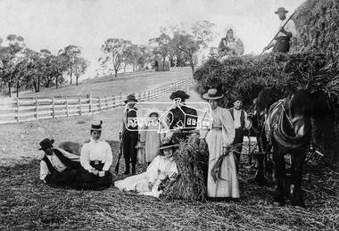 Photograph, Stack Building, Pigeon Bank, Kangaroo Ground