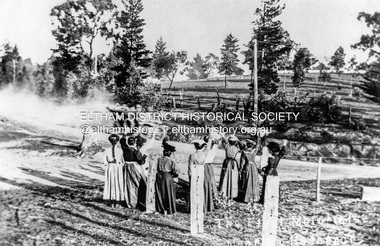 Negative - Photograph, Tom Prior, Feminine reception for the U.S. Fleet near Research, Victoria, 4 Sep. 1908