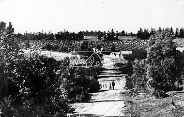 Photograph, Tom Prior, Research Gully Bridge, Research Gully Road, Research, c.1895