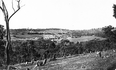 Photograph, Research. Main Road, Hotel Centre. Doney property right of centre
