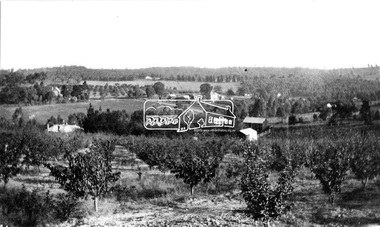 Photograph, Research. Main Road left to right showing school on left top. View from Orchard. Ref. 511 looking south-south west