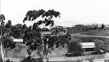 Photograph, Research, Vic