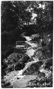 Photograph, Research. "A Pretty Spot."