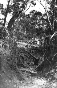 Negative - Photograph, Tom Prior, A Dry Water-course - Research, Vic, c.1895
