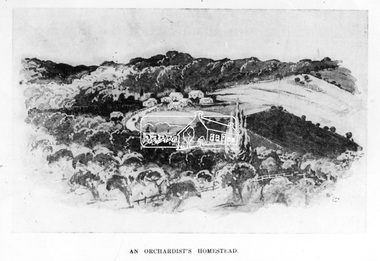 Photograph, The Australasian, An Orchardist's Homestead, Eltham, 2 May 1903