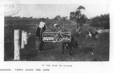 Photograph, The Australasian, On the road to Eltham, 1902