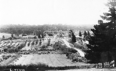 Negative - Photograph, Bridge Street, Eltham, c.1910