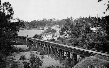 Negative - Photograph, Tom Prior, Railway Trestle Bridge over the Diamond Creek, Eltham, Vic, c.1910