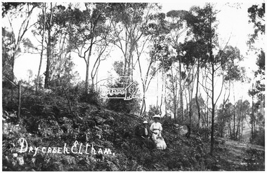 Negative - Photograph, Eltham - Dry Creek