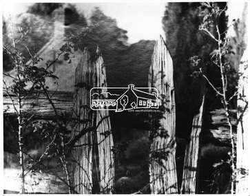 Negative - Photograph, George W. Bell, Shillinglaw Cottage, Main Road, Eltham, c.1964