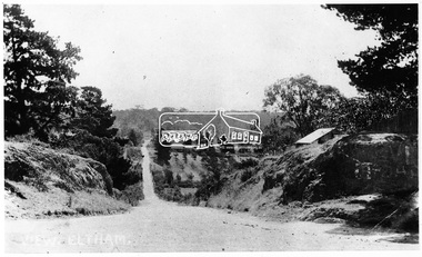 Negative - Photograph, View, Bridge Street, Eltham, c.1890
