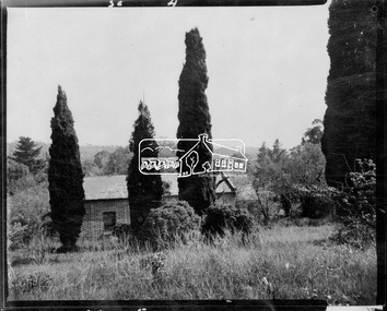 Negative - Photograph, Shillinglaw Cottage, 17 Oct. 1963