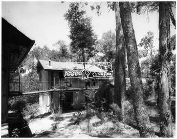 Photograph, Exterior of Professor Dick Downing's house - Eltham