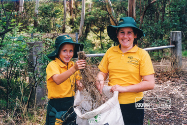 Photograph, Richard Pinn, Tree Planting, Hurstbridge Primary School students, Fergusons Paddock, Hurstbridge, c.1999, 1999c