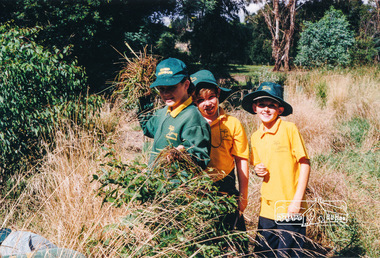 Photograph, Richard Pinn, Tree Planting, Hurstbridge Primary School students, Fergusons Paddock, Hurstbridge, c.1999, 1999c