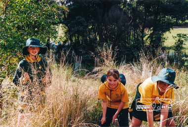 Photograph, Richard Pinn, Tree Planting, Hurstbridge Primary School students, Fergusons Paddock, Hurstbridge, c.1999, 1999c