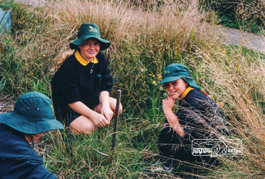 Photograph, Richard Pinn, Tree Planting, Hurstbridge Primary School students, Fergusons Paddock, Hurstbridge, c.1999, 1999c